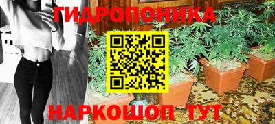 ПСИЛОЦИБИНОВЫЕ ГРИБЫ Обь