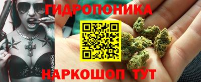 прущие крисы Обнинск