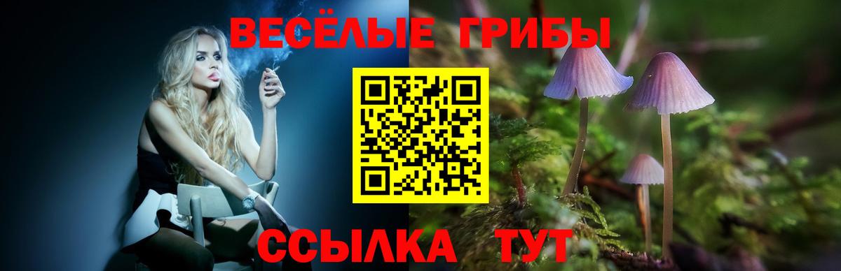 Печора  Псилоцибиновые грибы GOLDEN TEACHER  Вход с VPN 